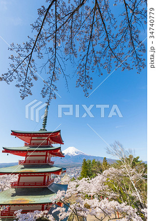 富士山　桜　青空　忠霊塔　新倉山浅間神社 34740779