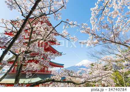 富士山　桜　青空　忠霊塔　新倉山浅間神社 34740784