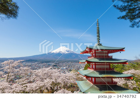 富士山　桜　青空　忠霊塔　新倉山浅間神社 34740792