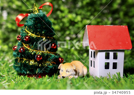 クリスマスツリーと犬と家 34740955