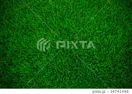 grass background grass background 34741498
