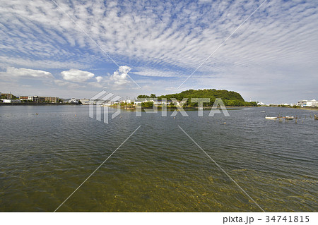 秋の平潟湾と金沢区野島公園 秋の平潟湾と金沢区野島公園 34741815