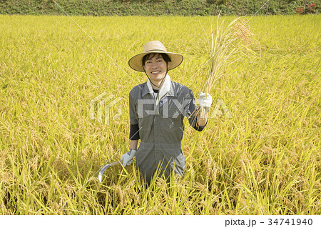 稲刈りイメージ 稲刈りイメージ 34741940