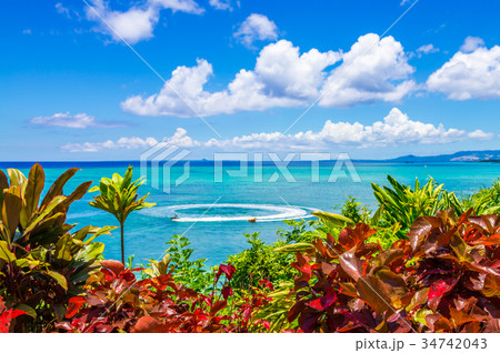 沖縄の海 34742043