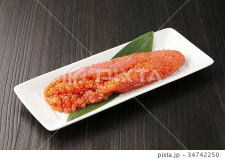 鮭の筋子 鮭の筋子 34742250