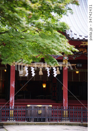 伊豆山神社 34742431