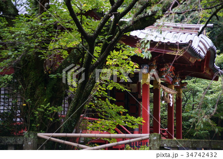 伊豆山神社 伊豆山神社 34742432