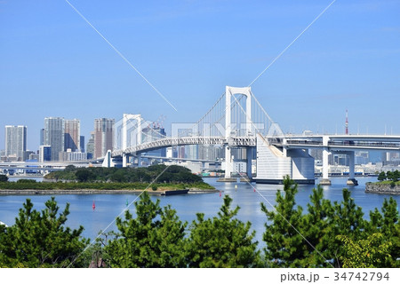 東京 都市風景 レインボーブリッジ 東京 都市風景 レインボーブリッジ 34742794