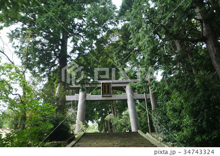 伊豆山神社 34743324