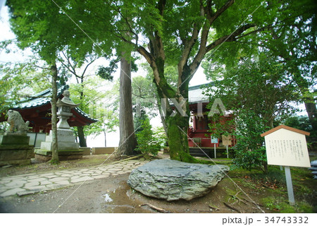 伊豆山神社 「光り石」 34743332