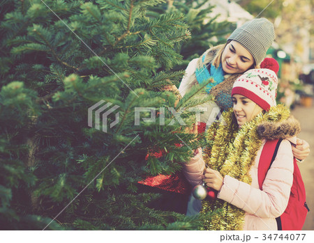 mother and daughter staying at market among Christmas trees. mother and daughter staying at market among Christmas trees. 34744077