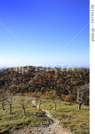 大台ケ原　秋 34745136