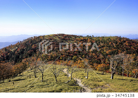大台ケ原 秋 大台ケ原 秋 34745138