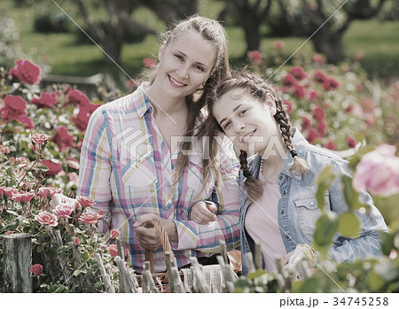 woman and girl holding a basket and standing near blooming roses 34745258