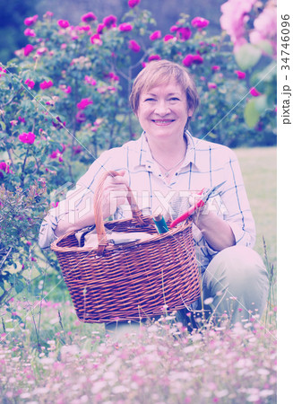 mature gardener woman basket 34746096