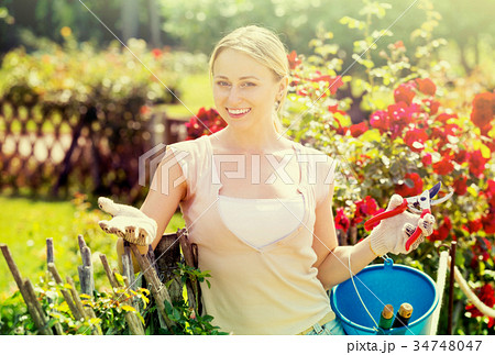 Blond woman taking care of red rose bushes Blond woman taking care of red rose bushes 34748047