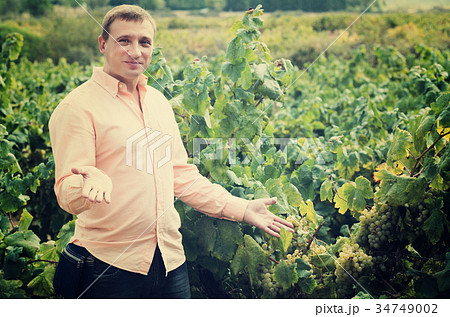 Vintner with clusters of grape Vintner with clusters of grape 34749002