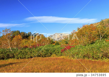 栂池自然園　紅葉 34753695