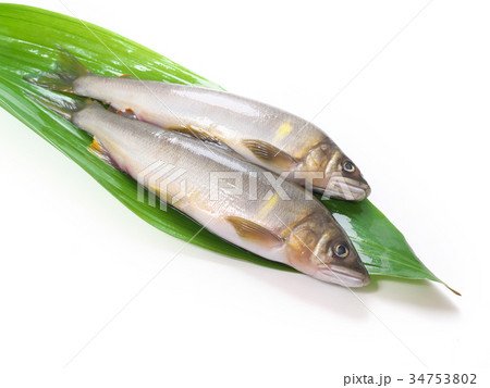 天然アユ 34753802