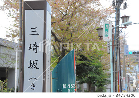 東京都台東区　谷中　三崎坂　さんさきざか　桜 34754206