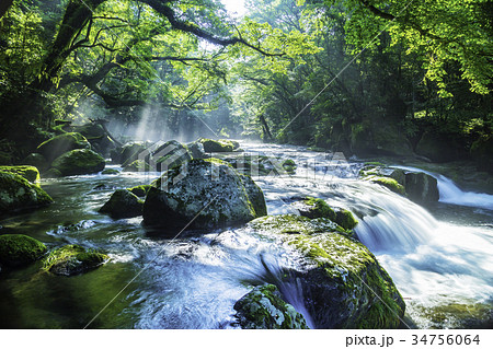 美しい新緑の菊池渓谷 美しい新緑の菊池渓谷 34756064