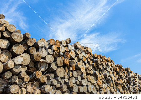 Timber stacked Timber stacked 34756431
