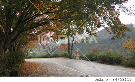 夕日 夕焼け 夕暮れ 34758119