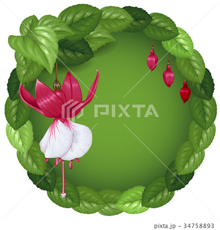 Wreath with flowers and leaves 34758893
