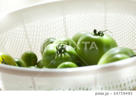 グリーントマト 34759495