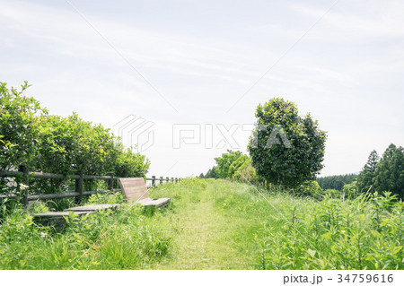 ベンチのある風景　富士見台 34759616