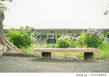 ベンチのある風景　小田原城址公園 34759644