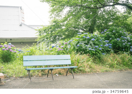 ベンチのある風景 小田原城址公園 ベンチのある風景 小田原城址公園 34759645