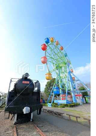 国分城山公園 34760725