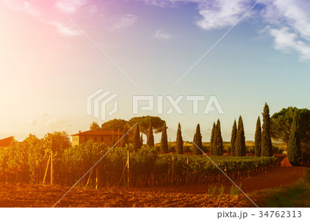 Classic view of scenic Tuscany landscape 34762313