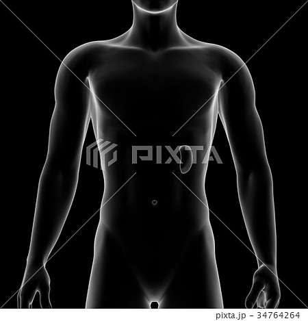 脾臓, メディカル 34764264