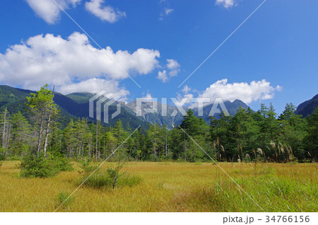 上高地　田代湿原 34766156