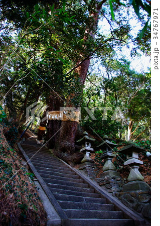 雲見 浅間神社 参道・石段 & 石灯篭 ( 西伊豆・雲見神社 ) 静岡県 賀茂郡 雲見 雲見 浅間神社 参道・石段 & 石灯篭 ( 西伊豆・雲見神社 ) 静岡県 賀茂郡 雲見 34767971