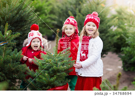 Kids selecting Christmas tree. Xmas gifts shopping Kids selecting Christmas tree. Xmas gifts shopping 34768694