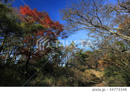 箱根　湯坂路３ 34773346