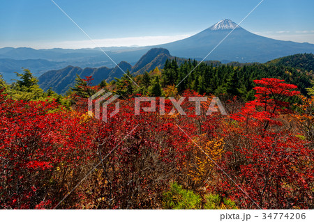 御坂山地・節頭ヶ岳の紅葉と初冠雪の富士山 34774206