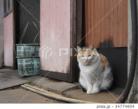町工場の猫 町工場の猫 34774604