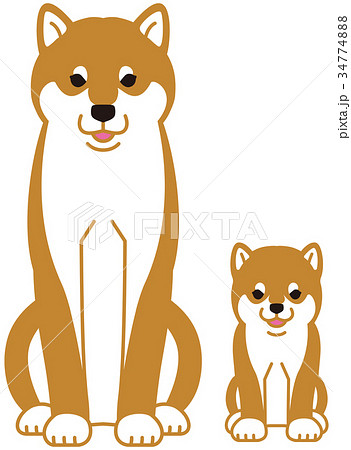 Parent And Child Of Shiba Inu Stock Illustration