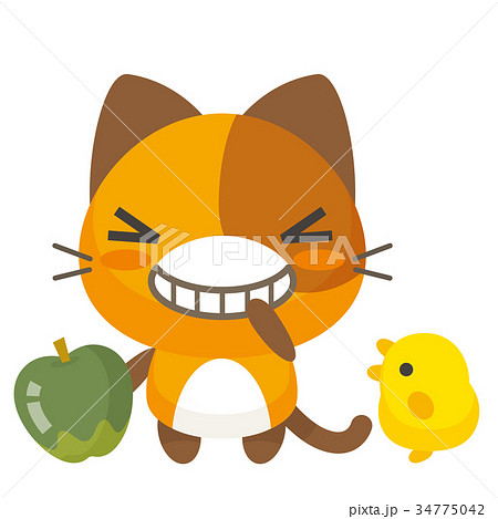 ネコとーく。三毛猫+ぴよ ネコとーく。三毛猫+ぴよ 34775042