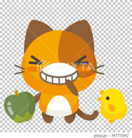 ネコとーく。三毛猫+ぴよ ネコとーく。三毛猫+ぴよ 34775042