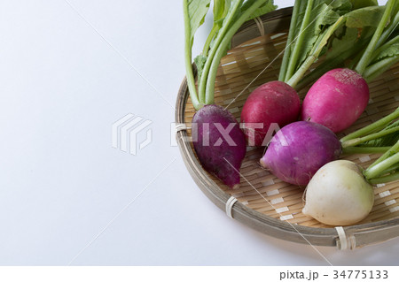 ラディッシュ、二十日大根 34775133