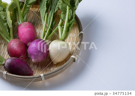ラディッシュ、二十日大根 34775134