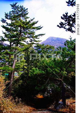 雲見 浅間神社 参道・石段 ( 西伊豆・雲見神社 ) 静岡県 賀茂郡 雲見 雲見 浅間神社 参道・石段 ( 西伊豆・雲見神社 ) 静岡県 賀茂郡 雲見 34775948
