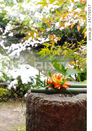 日本庭園 34776057