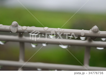 雨上がり 雨上がり 34776736