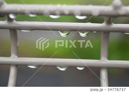 雨上がり 34776737